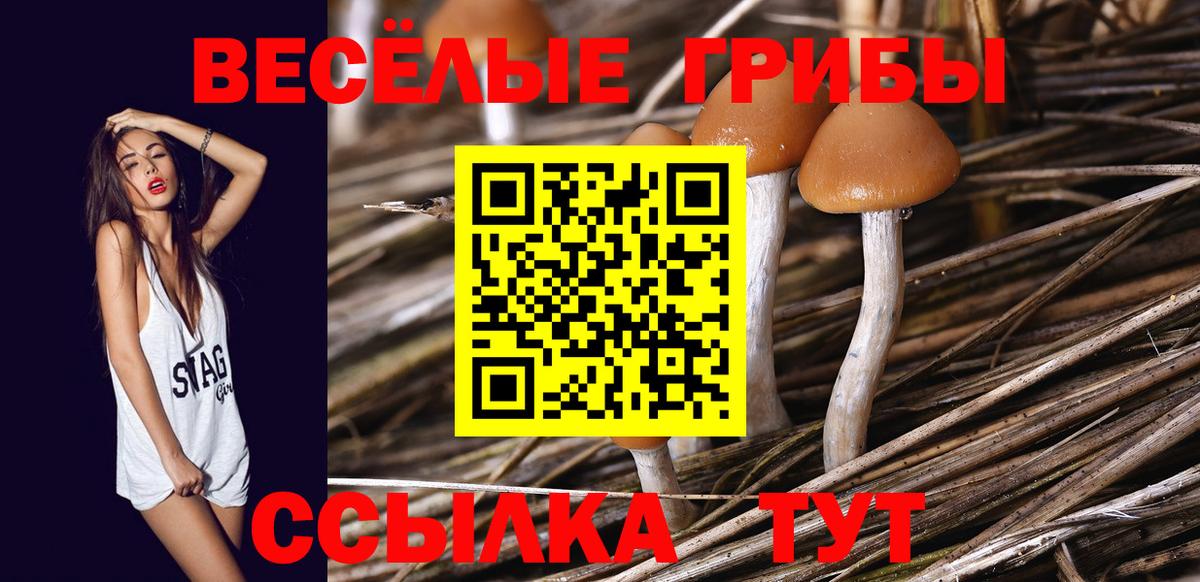 Галлюциногенные грибы GOLDEN TEACHER  Вход с VPN  Озёрск  Галлюциногенные грибы GOLDEN TEACHER 